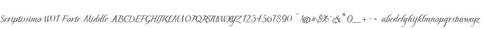 Scriptissimo W01 Forte Middle