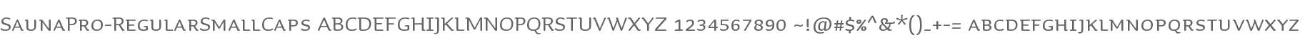 SaunaPro-RegularSmallCaps