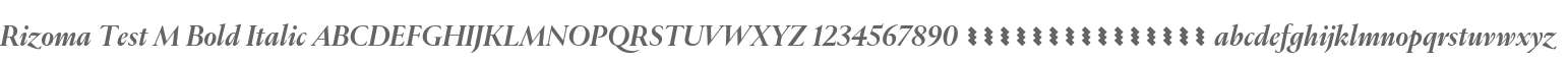 Rizoma Test M