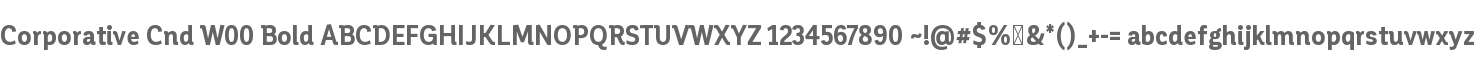Corporative Cnd W00 Bold