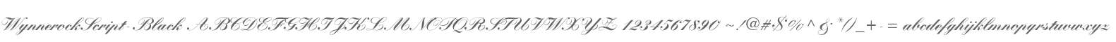 WynnerockScript-Black