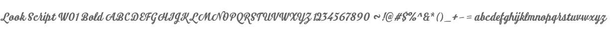 Look Script W01 Bold