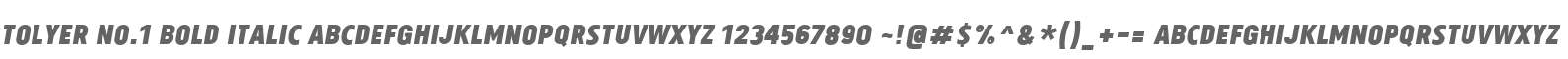 Tolyer No.1 Bold Italic