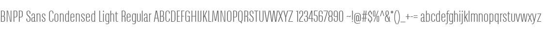 BNPP Sans Condensed Light