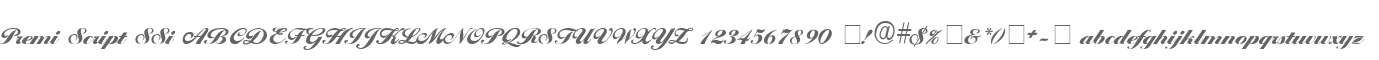 Premi Script SSi
