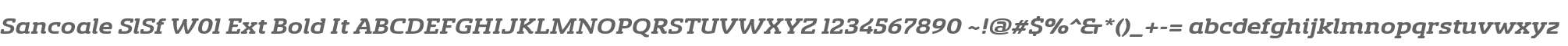 Sancoale SlSf W01 Ext Bold It