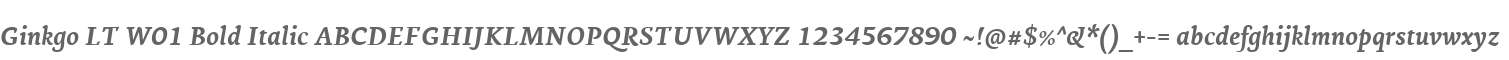 Ginkgo LT W01 Bold Italic