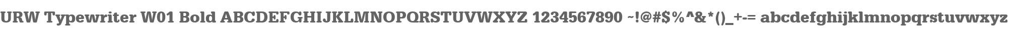 URW Typewriter W01 Bold