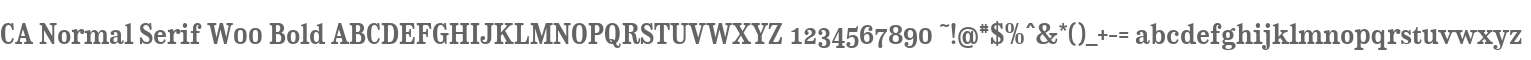 CA Normal Serif W00 Bold