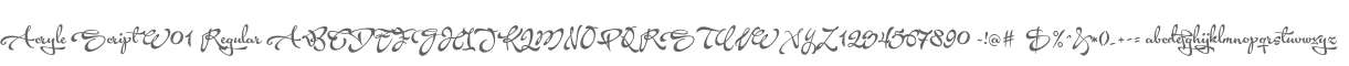 Acryle Script W01 Regular