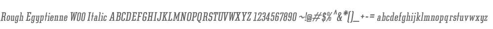 Rough Egyptienne W00 Italic