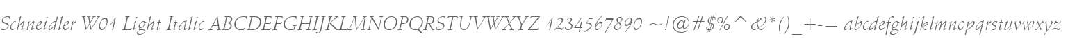 Schneidler W01 Light Italic