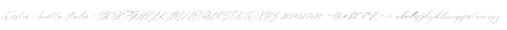 Westie Ametta Italic
