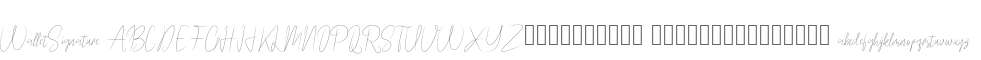WalletSignature