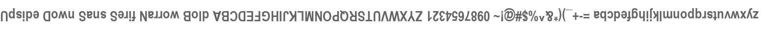 Upside Down Sans Serif Narrow Bold