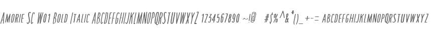Amorie SC W01 Bold Italic