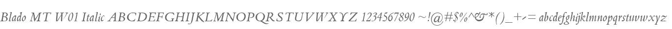 Blado MT W01 Italic