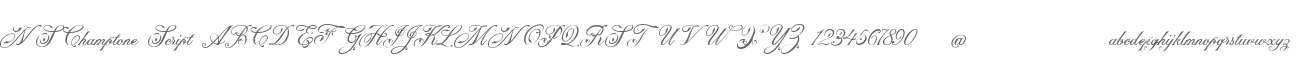 NS Champtone Script