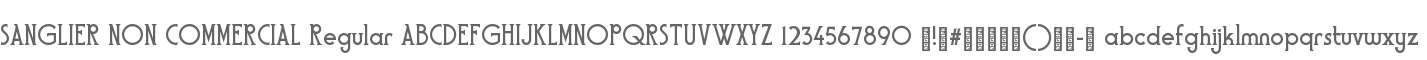 SANGLIER NON COMMERCIAL