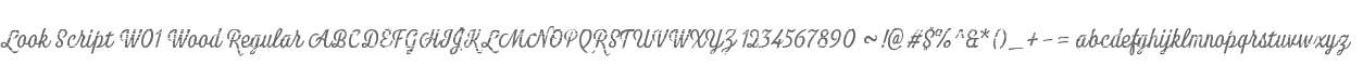 Look Script W01 Wood Regular