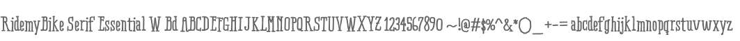 RidemyBike Serif Essential W Bd