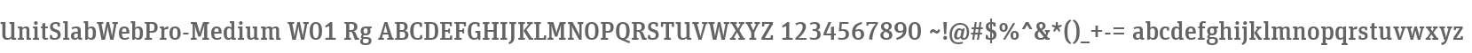 UnitSlabWebPro-Medium W01 Rg