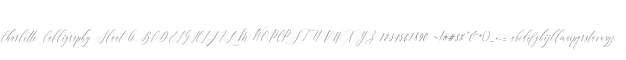 Charlotte Calligraphy Slant