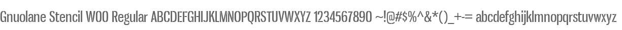 Gnuolane Stencil W00 Regular