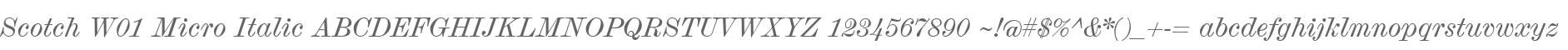 Scotch W01 Micro Italic