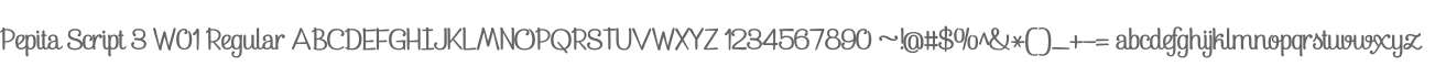 Pepita Script 3 W01 Regular