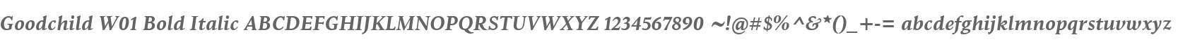 Goodchild W01 Bold Italic