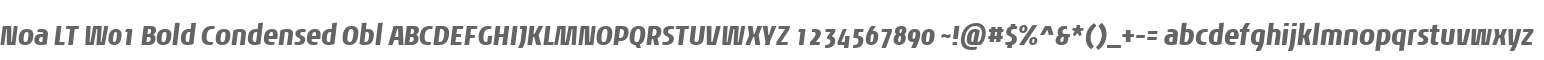 Noa LT W01 Bold Condensed Obl