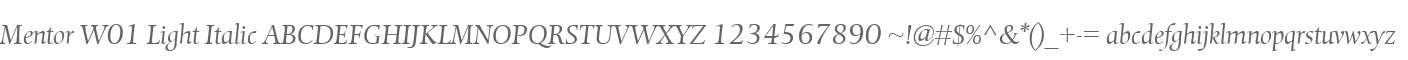 Mentor W01 Light Italic