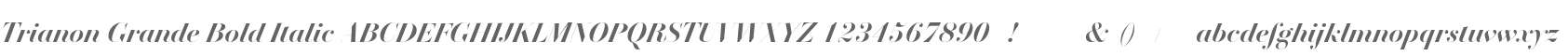 Trianon Grande Bold Italic