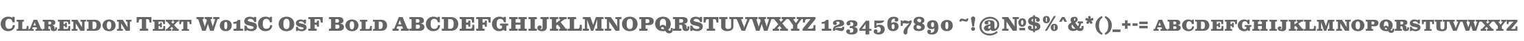Clarendon Text W01SC OsF Bold