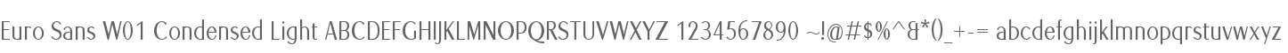 Euro Sans W01 Condensed Light