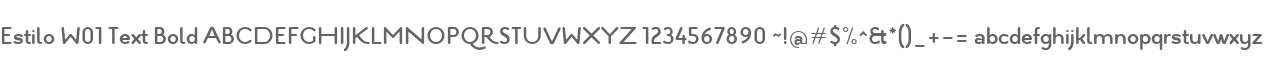 Estilo W01 Text Bold