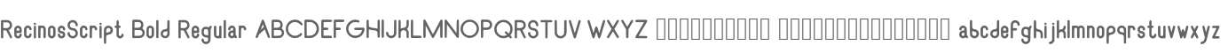RecinosScript Bold Regular