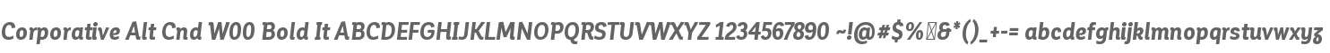 Corporative Alt Cnd W00 Bold It