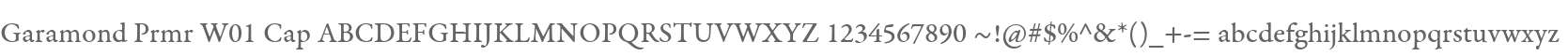 Garamond Prmr W01 Cap