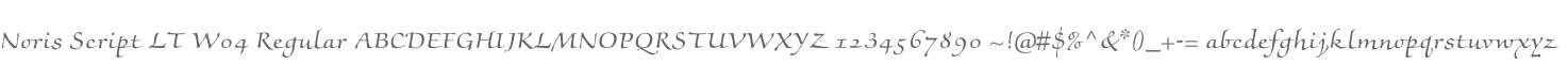 Noris Script LT W04 Regular