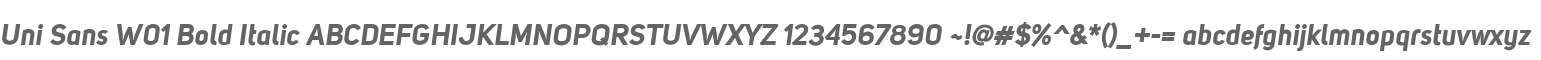 Uni Sans W01 Bold Italic