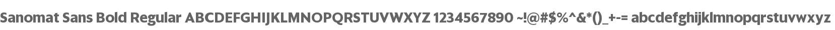 Sanomat Sans Bold Regular