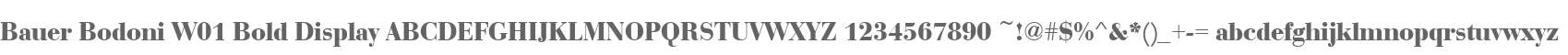 Bauer Bodoni W01 Bold Display