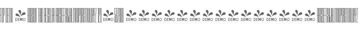 FSP DEMO - Robson Thin