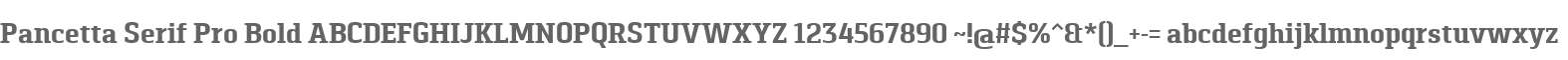 Pancetta Serif Pro Bold