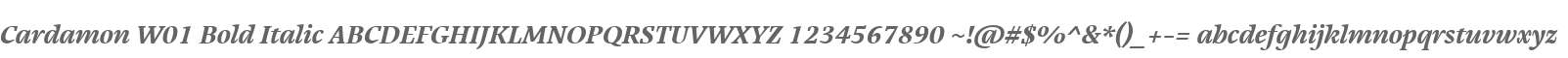 Cardamon W01 Bold Italic