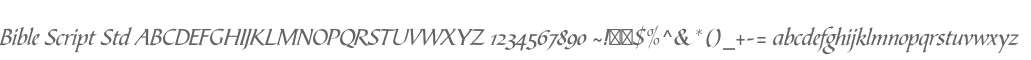 Bible Script Std