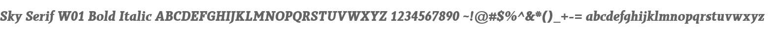 Sky Serif W01 Bold Italic