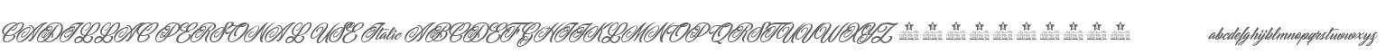 CADILLAC PERSONAL USE Italic